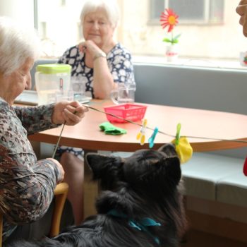 Hundebesuch im KGL 10