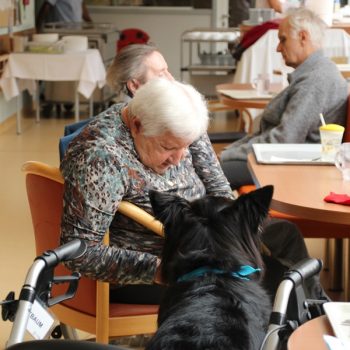 Hundebesuch im KGL 10