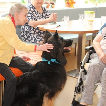 Hundebesuch im KGL 10