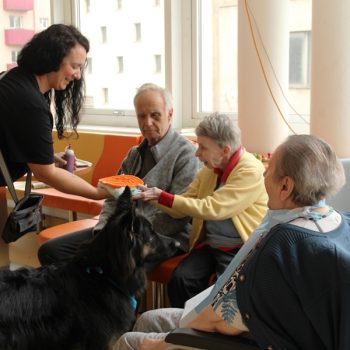 Hundebesuch im KGL 10