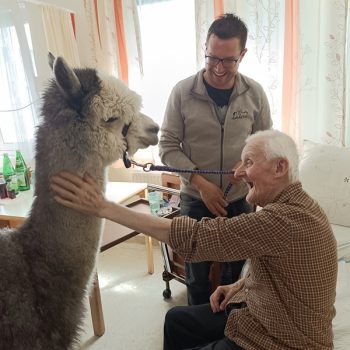 filter: 0; jpegRotation: 90; fileterIntensity: 0.000000; filterMask: 0; module:1facing:0; 
hw-remosaic: 0; 
touch: (-1.0, -1.0); 
modeInfo: ; 
sceneMode: NightHDR; 
cct_value: 0; 
AI_Scene: (0, -1); 
aec_lux: 0.0; 
hist255: 0.0; 
hist252~255: 0.0; 
hist0~15: 0.0;