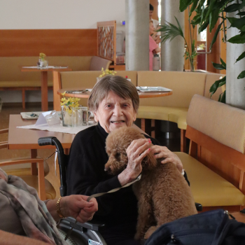 News-Konzert-Monika-Schmatzberger-03.03-8